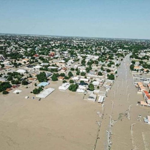 Read more about the article Flood Disaster: States Intensify Action as 232 Die, 121,000 Displaced