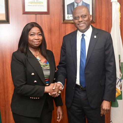 Read more about the article $600m Monthly Diaspora Remittances Proof of Reforms – FG