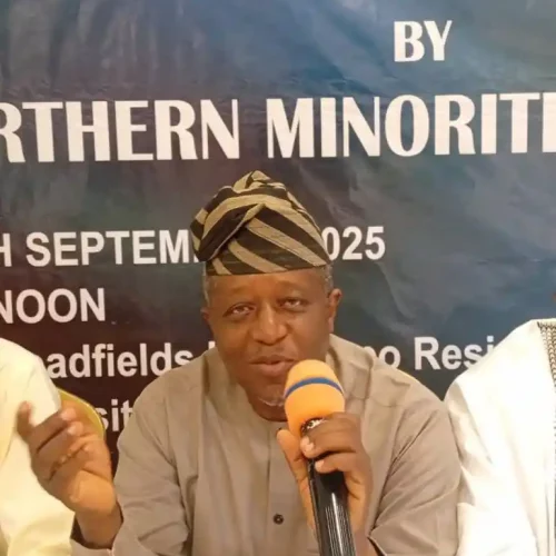 Read more about the article We Support Tinubu – Northern Group Roots for Second Term