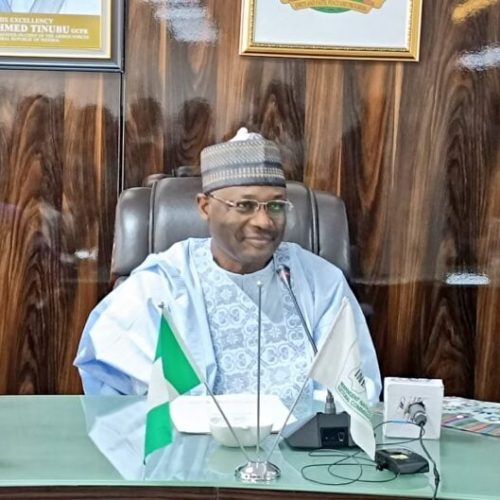Read more about the article Waiting for The Next INEC Chairperson