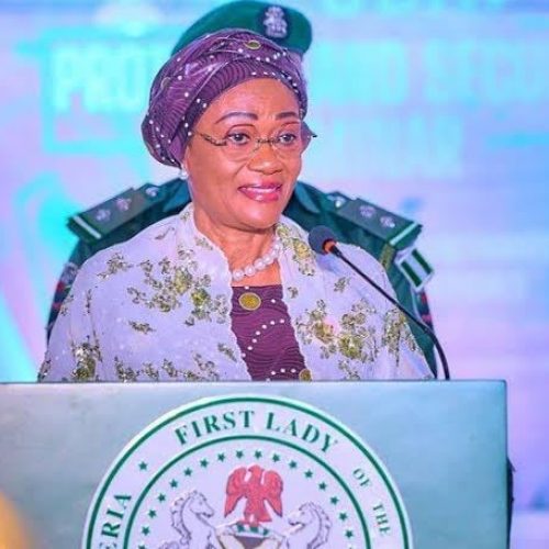 N20bn Library Fundraiser Not for 2027 – Remi Tinubu
