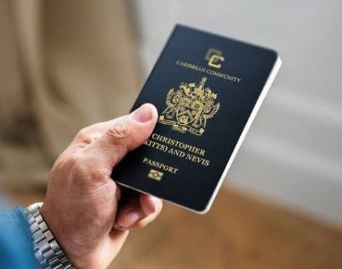 Read more about the article Nigeria Grants Visa-free to St. Kitts & Nevis as Afri-Caribbean Ties Deepen