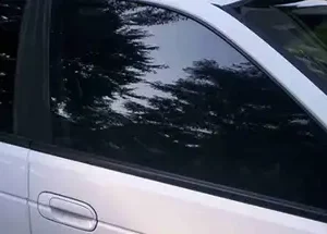 IMG 8743.jpeg