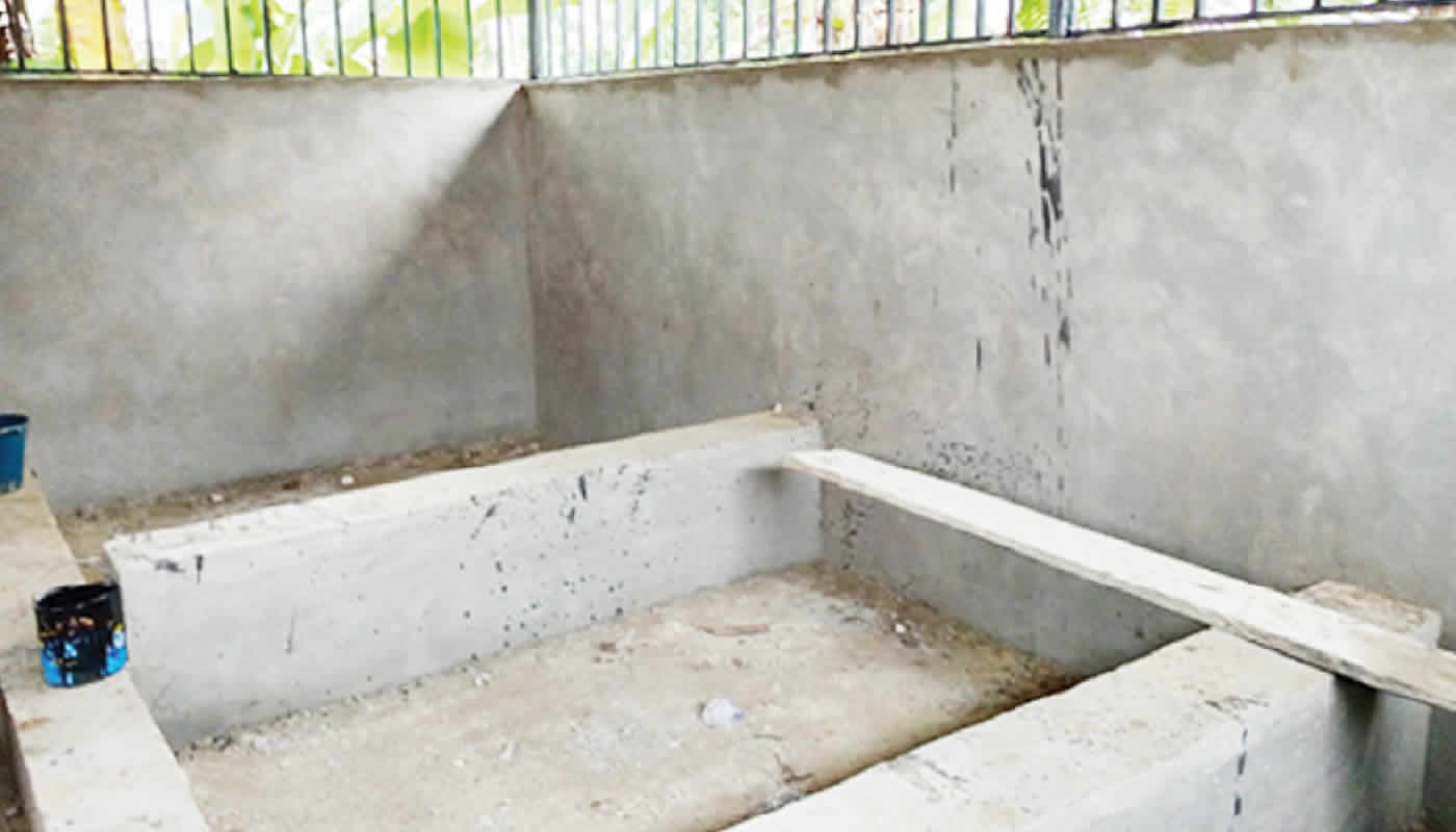 You are currently viewing EU Inspects N11bn Bayelsa Cassava Plant