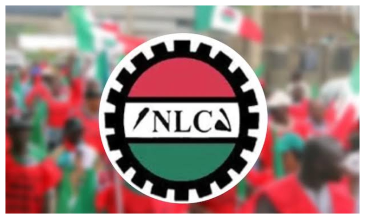 You are currently viewing Kaduna Begins N72,000 Minimum Wage Implementation, NLC Demands Full Coverage