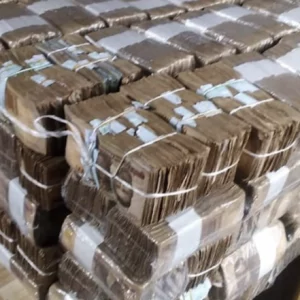 Naira in Bulk e1737553817943