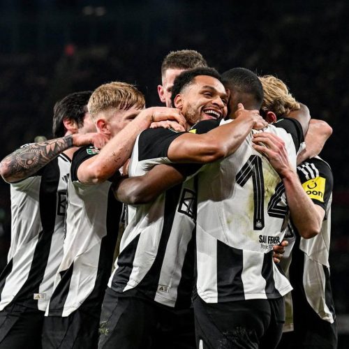 Read more about the article Newcastle Edge Wolves 1-0 in Premier League Thriller