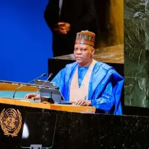 Pivoting Nigeria with UNGA 80 Speech from Development to Moral Diplomacy, By Collins Nweke