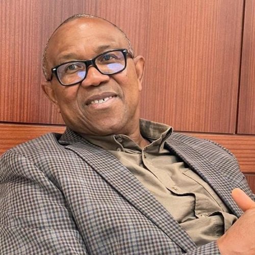 Read more about the article Peter Obi Faces Backlash for Calling Olubadan ‘My Brother’