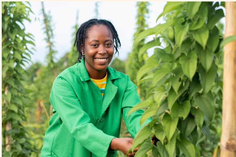 Screenshot 30 9 2025 105014 https www.thebrighterside.news