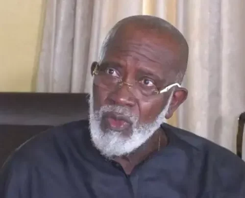 Read more about the article Govs Decide Who Goes to Senate, House of Reps, State Assemblies – Athan Achonu