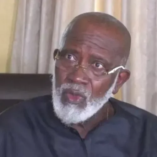 Govs Decide Who Goes to Senate, House of Reps, State Assemblies – Athan Achonu