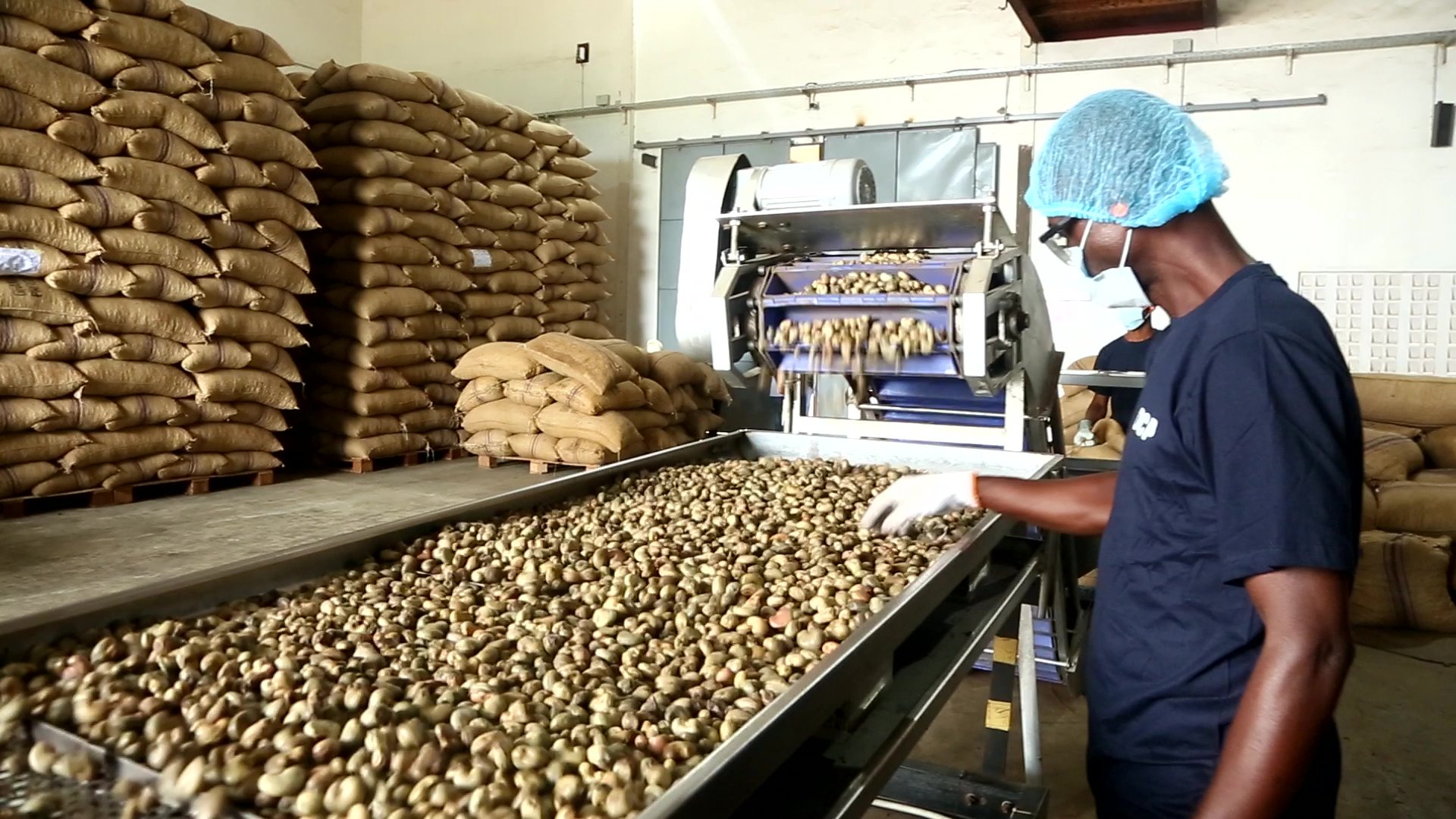 You are currently viewing Julius Berger Exits Agro-processing, Leases Cashew Plant to Eko Organic Foods