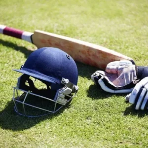 cricket e1689175580832