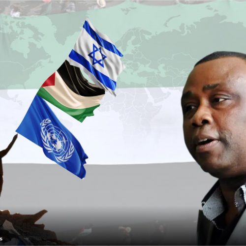 Read more about the article Africa and The Palestine Statehood Question – OpEd