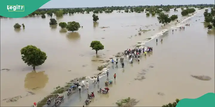 You are currently viewing FG Warns as Niger and Benue Rivers Hit Dangerous Levels