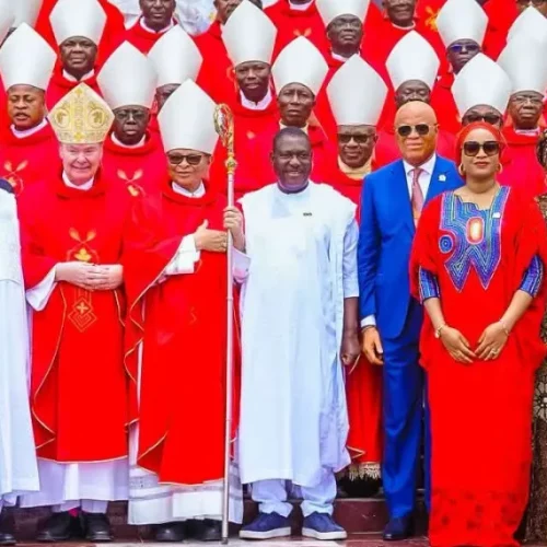 Read more about the article Nigerian Catholic Bishops Condemn Abuse of IVF Treatment, Ask FG to Regulate Fertility Clinics