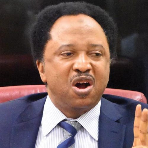 Read more about the article El-Rufai, You Lack Basic Knowledge of What Democracy Is – Shehu Sani 