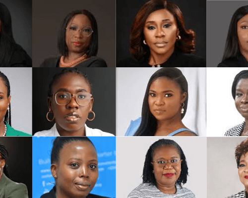 Read more about the article Twelve Women Shaping Nigeria’s Financial Inclusion
