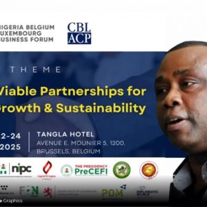 From Dependency to Partnership: Belgium’s Geopolitical Recalibration and Africa’s Moment, By Collins Nweke  6 1dc9de9c fc86 49ec 8e5f 6be5cd4df399
