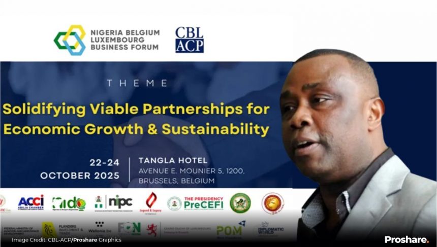From Dependency to Partnership: Belgium’s Geopolitical Recalibration and Africa’s Moment, By Collins Nweke  1 1dc9de9c fc86 49ec 8e5f 6be5cd4df399