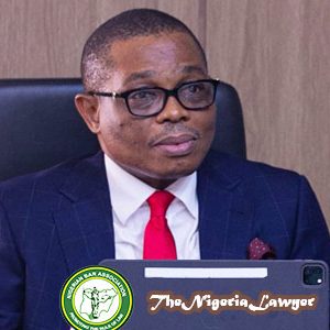 Afam Osigwe SAN
