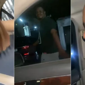 GridArt 20251023 194437891.jpg