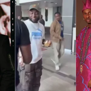 GridArt 20251026 084139237.jpg