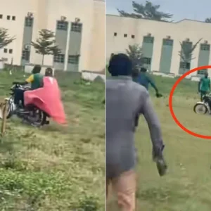 GridArt 20251026 104355281.jpg