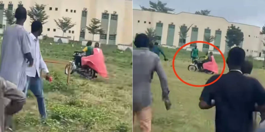 GridArt 20251026 104355281.jpg