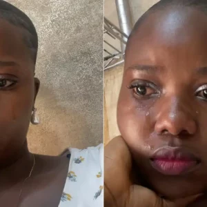 GridArt 20251026 164907163.jpg