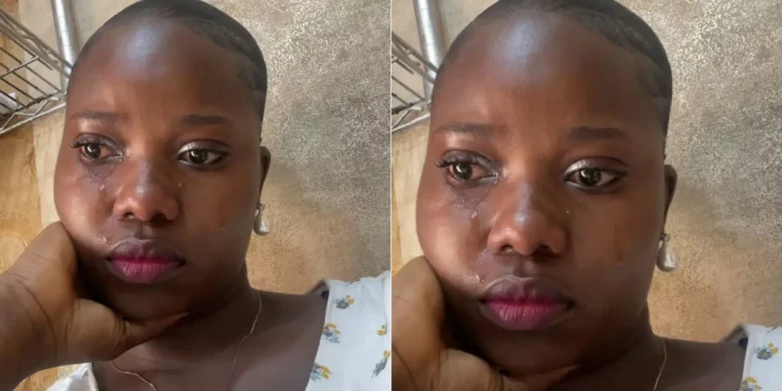 GridArt 20251026 164907163.jpg