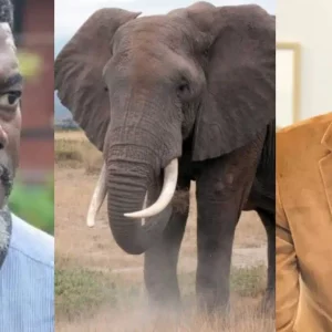 GridArt 20251027 083442700 1920x960.jpg