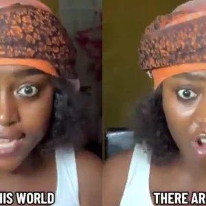 GridArt 20251027 090428112 1920x960.jpg