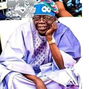 Tinubu’s Renewed Hope and the Silent Western War Against Nigeria, By Mogaji Wole Arisekola 31 IMG 20251025 WA0015
