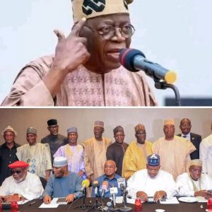 The Battle for Nigeria’s Soul: If We Leave Tinubu to Fight Alone, We All Lose 3 IMG 20251029 WA0003