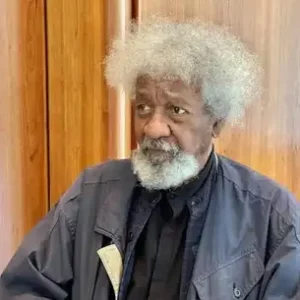 US Revokes Prof Wole Soyinka’s Visa 3 IMG 2498.jpeg