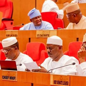 Ndume Laments Senate