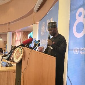 UN @80: Nigeria Seeks Reforms, Permanent Security Council Seat 2 Rep