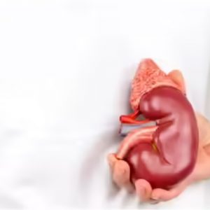 Screenshot 17 10 2025 171852 timesofindia.indiatimes.com