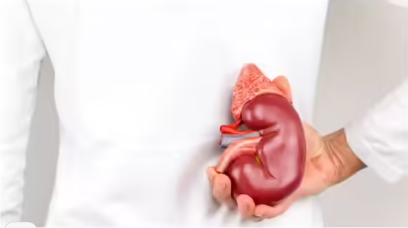 Screenshot 17 10 2025 171852 timesofindia.indiatimes.com