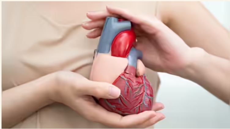 Screenshot 6 10 2025 65632 https timesofindia.indiatimes.com