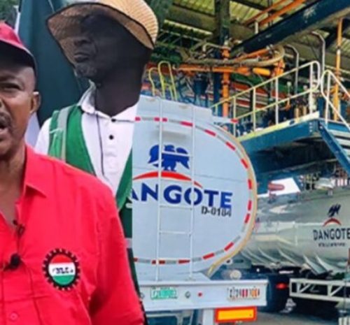 Read more about the article NLC Faults Shettima’s Defence of Dangote, says It Promotes Lawlessness