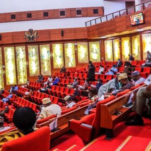 Senate Seeks Shift of Burden of Proof in Electoral Cases to INEC 2 Senate 1 700x394 1