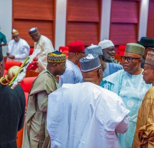 Read more about the article Senate Asks Finance Ministry to Submit 2024 Budget Performance Report in Two Weeks