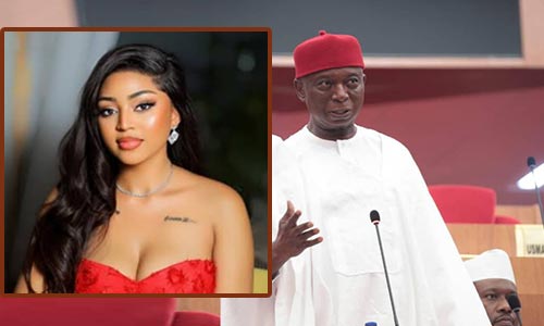 “Malicious And Mischievous Lies” — Sen. Nwoko Threatens Legal Action Over Viral Video Linking Him to Young Woman Amid Marital Spat with Daniels 1 Senator Ned Nwoko