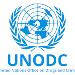 UNODC 768x660 1