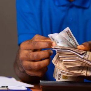 How to Profit from Govt. Policies: CGT, FG Borrowings, Naira Gains 2 image 104