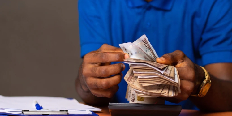 How to Profit from Govt. Policies: CGT, FG Borrowings, Naira Gains 1 image 104