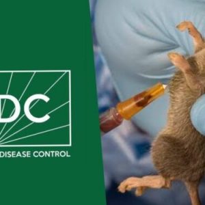 NCDC Reports 172 Deaths from Lassa Fever in 21 States 2 image 108